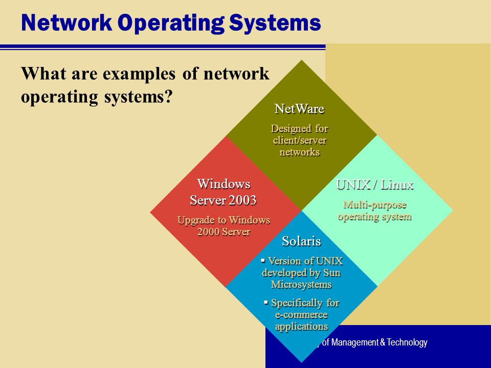 University of Management & Technology Network Operating Systems What are examples of network operating systems.