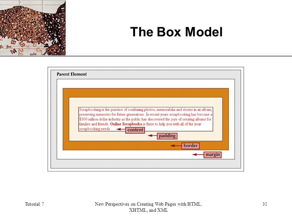 XP Tutorial 7New Perspectives on Creating Web Pages with HTML, XHTML, and XML 31 The Box Model