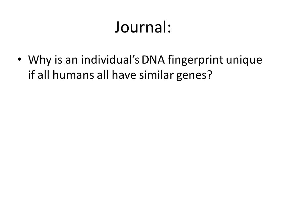 Journal: Why is an individual’s DNA fingerprint unique if all humans all have similar genes