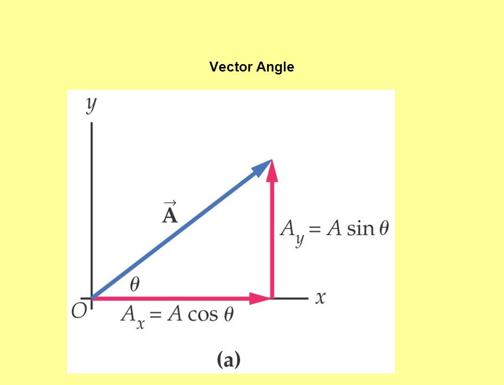 Vector Angle