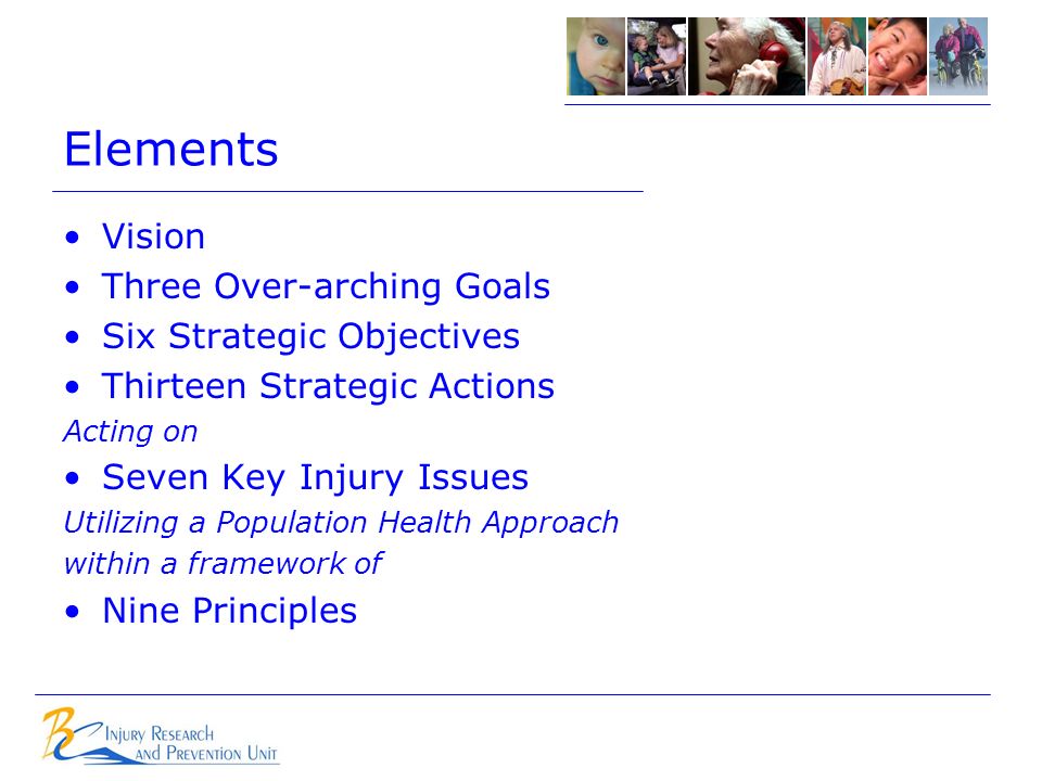 Elements Vision Three Over-arching Goals Six Strategic Objectives Thirteen Strategic Actions Acting on Seven Key Injury Issues Utilizing a Population Health Approach within a framework of Nine Principles
