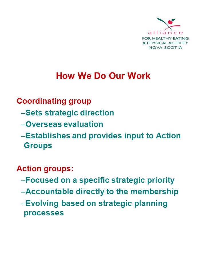 How We Do Our Work Coordinating group –Sets strategic direction –Overseas evaluation –Establishes and provides input to Action Groups Action groups: –Focused on a specific strategic priority –Accountable directly to the membership –Evolving based on strategic planning processes