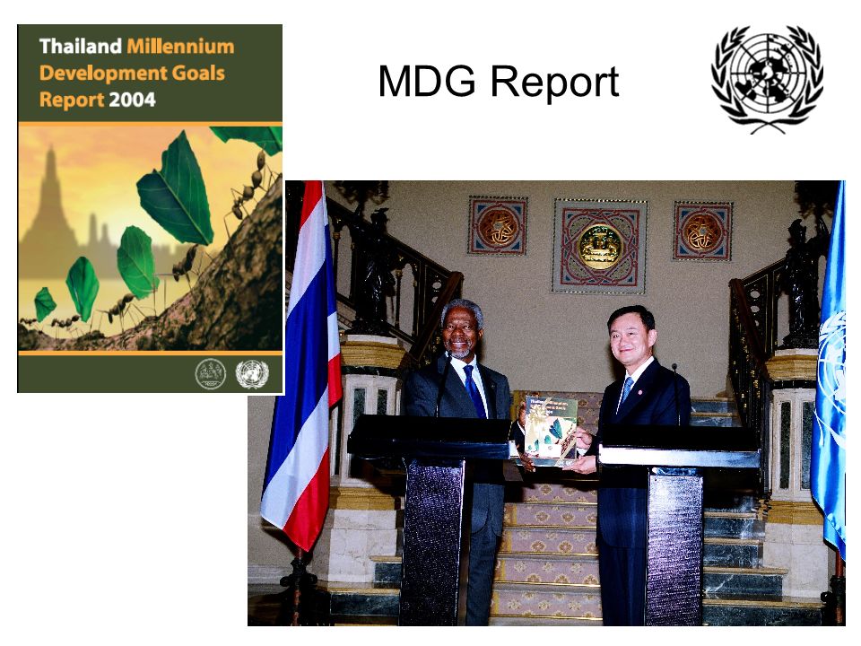 MDG Report