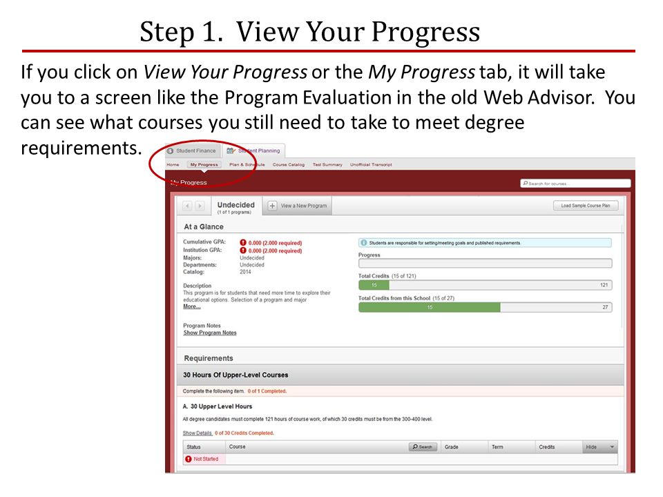 If you click on View Your Progress or the My Progress tab, it will take you to a screen like the Program Evaluation in the old Web Advisor.