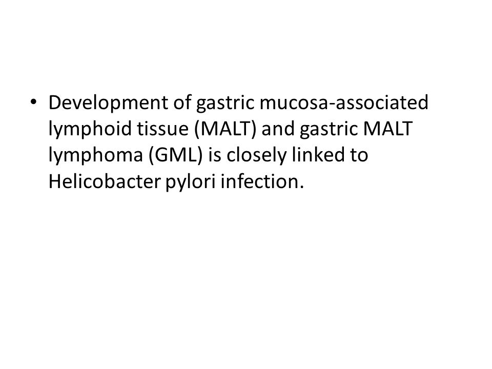 Development of gastric mucosa-associated lymphoid tissue (MALT) and gastric MALT lymphoma (GML) is closely linked to Helicobacter pylori infection.