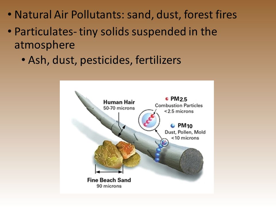 Natural Air Pollutants: sand, dust, forest fires Particulates- tiny solids suspended in the atmosphere Ash, dust, pesticides, fertilizers