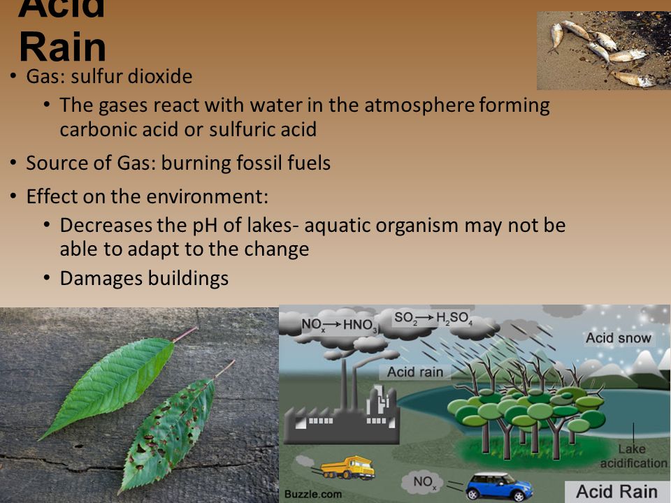 Acid Rain Gas: sulfur dioxide The gases react with water in the atmosphere forming carbonic acid or sulfuric acid Source of Gas: burning fossil fuels Effect on the environment: Decreases the pH of lakes- aquatic organism may not be able to adapt to the change Damages buildings