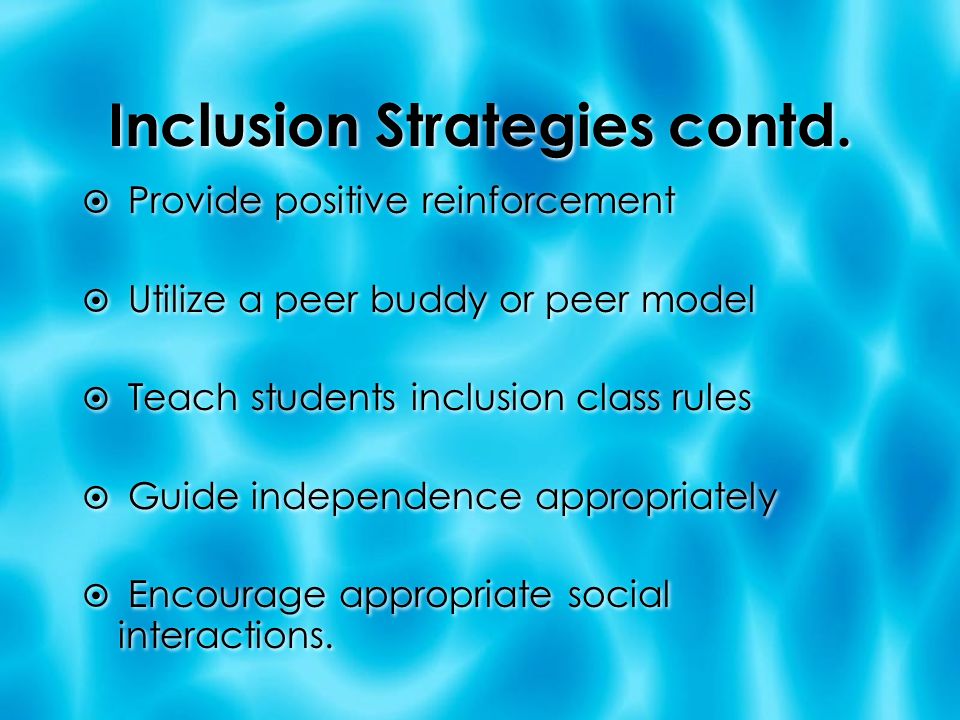 Inclusion Strategies contd.