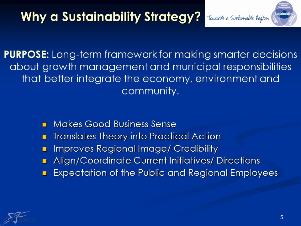 5 Why a Sustainability Strategy.