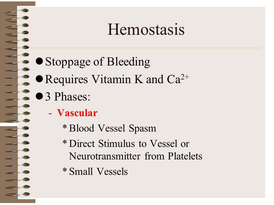 Hemostasis Stoppage of Bleeding Requires Vitamin K and Ca 2+ 3 Phases: -Vascular *Blood Vessel Spasm *Direct Stimulus to Vessel or Neurotransmitter from Platelets *Small Vessels