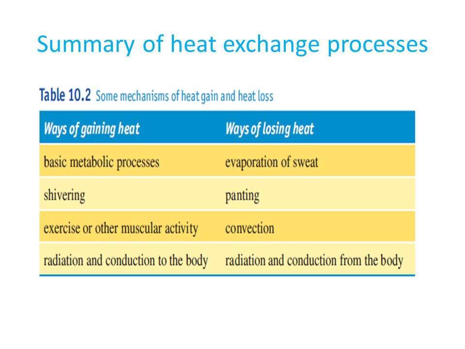 Summary of heat exchange processes
