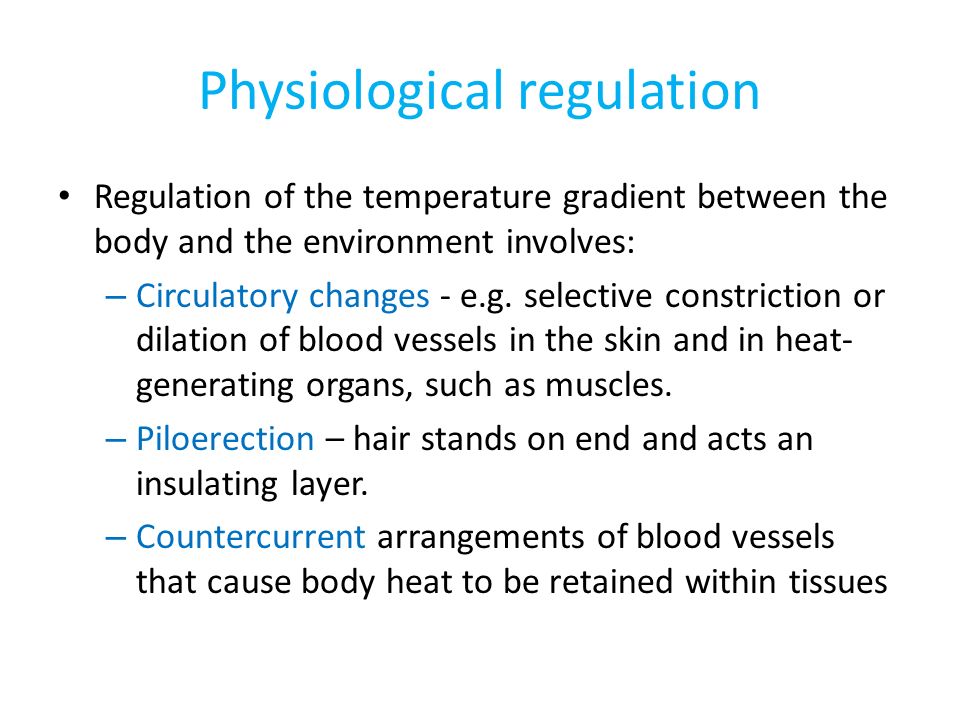 Physiological regulation Regulation of the temperature gradient between the body and the environment involves: – Circulatory changes - e.g.