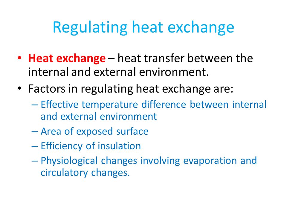 Regulating heat exchange Heat exchange – heat transfer between the internal and external environment.