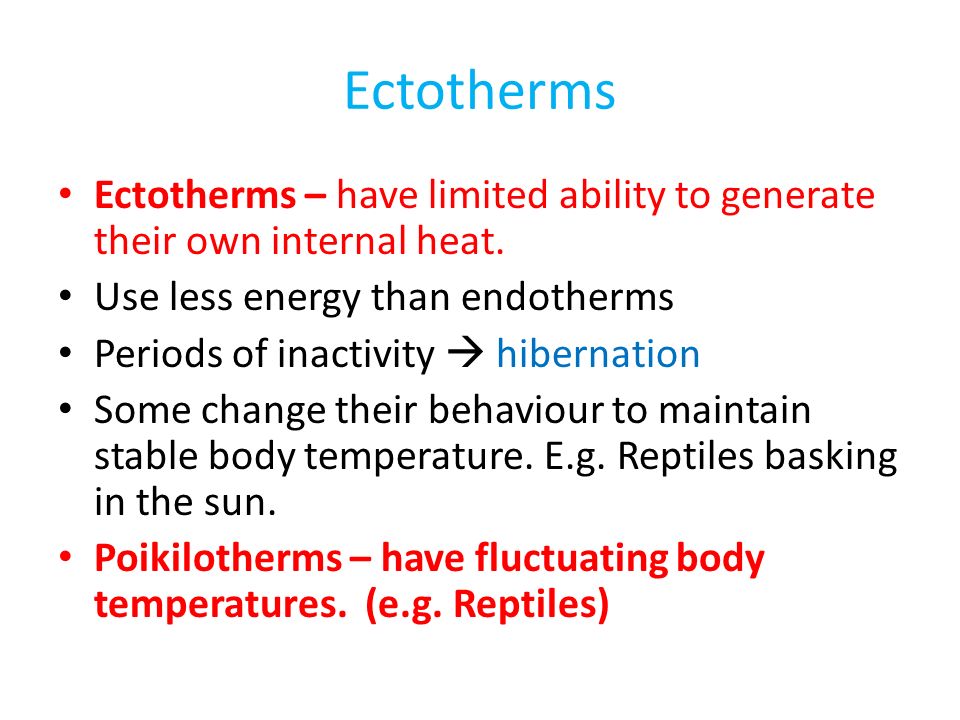 Ectotherms Ectotherms – have limited ability to generate their own internal heat.