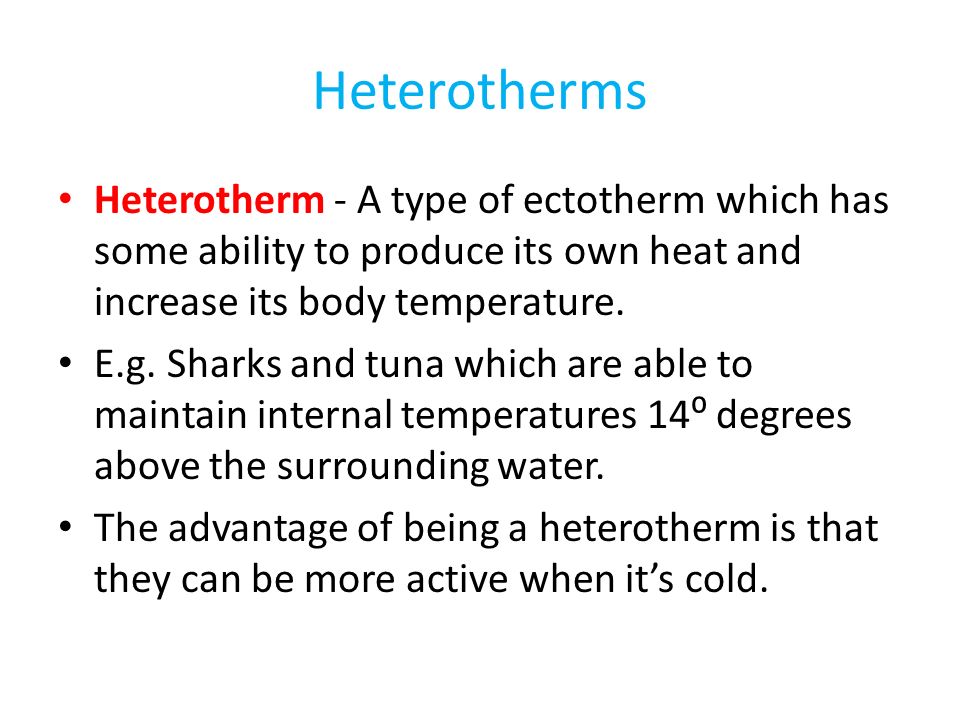 Heterotherms Heterotherm - A type of ectotherm which has some ability to produce its own heat and increase its body temperature.