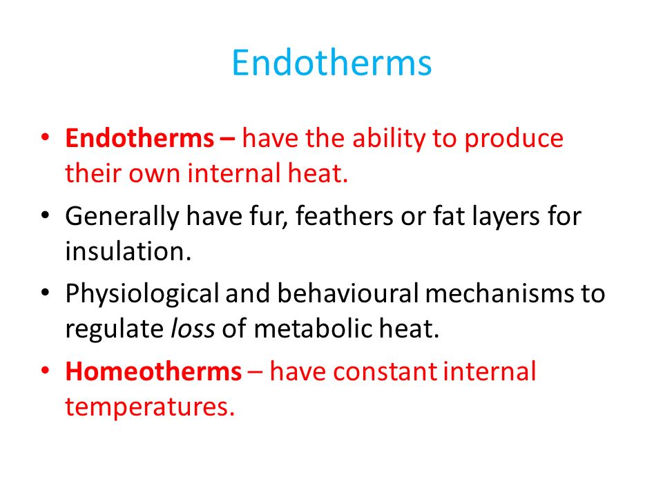 Endotherms Endotherms – have the ability to produce their own internal heat.