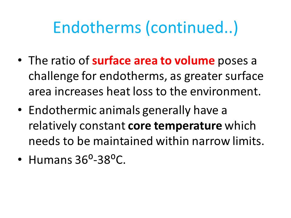 Endotherms (continued..) The ratio of surface area to volume poses a challenge for endotherms, as greater surface area increases heat loss to the environment.