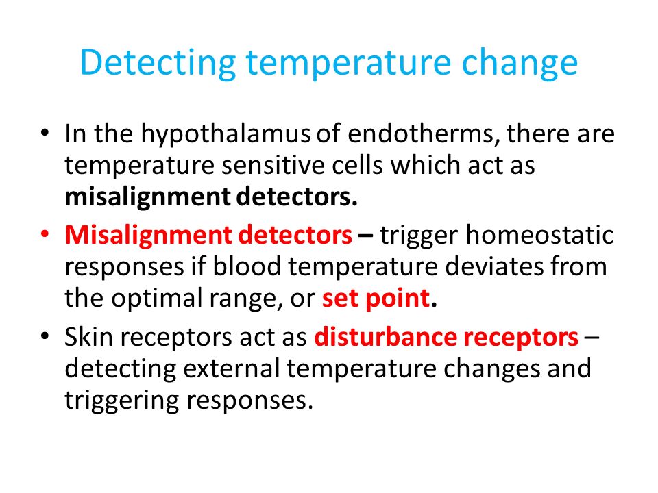 Detecting temperature change In the hypothalamus of endotherms, there are temperature sensitive cells which act as misalignment detectors.