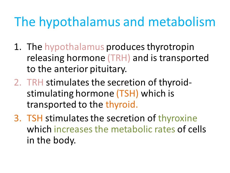 The hypothalamus and metabolism 1.The hypothalamus produces thyrotropin releasing hormone (TRH) and is transported to the anterior pituitary.