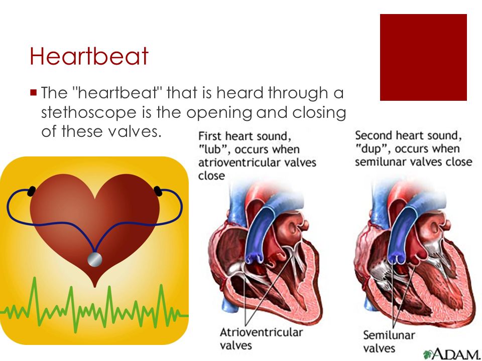 Ventricles  When the heart contracts, the blood is pushed out of the heart.