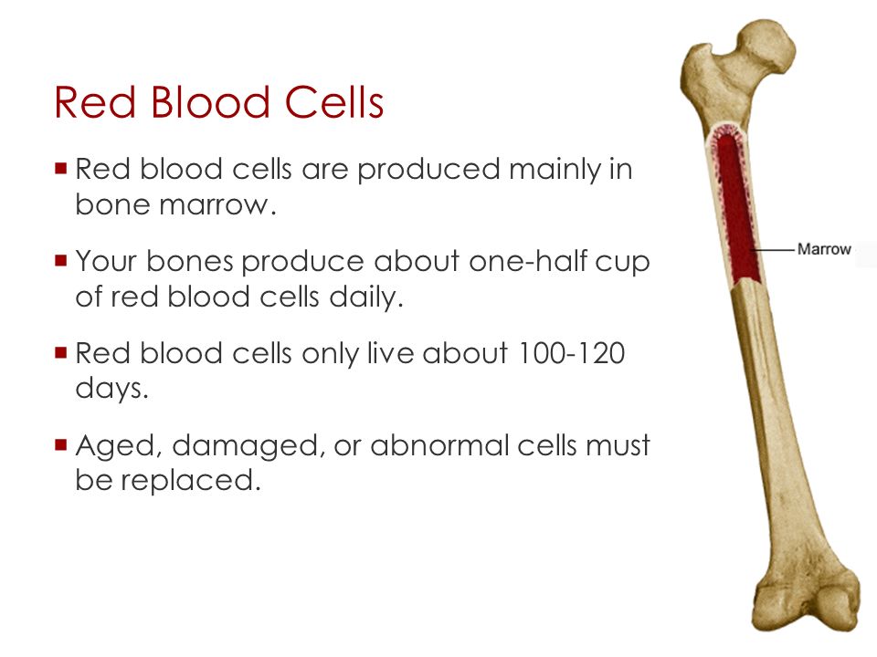 Red Blood Cells  Red blood cells carry oxygen from the lungs and carbon dioxide to the lungs.