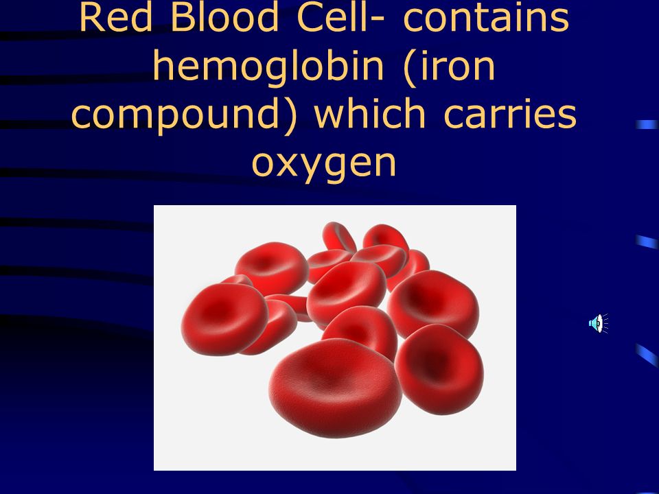 Blood is a liquid tissue Blood is a mixture- part liquid and part solid Plasma is liquid part of blood