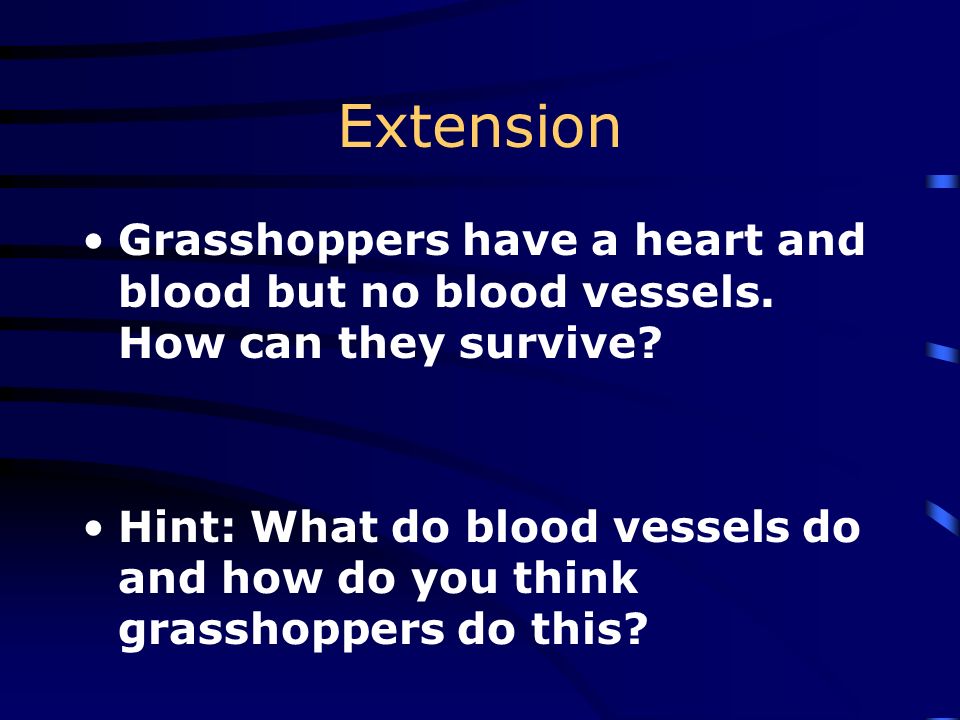 Gas Exchange The pulmonary blood vessels take the blood from the heart to the lungs.