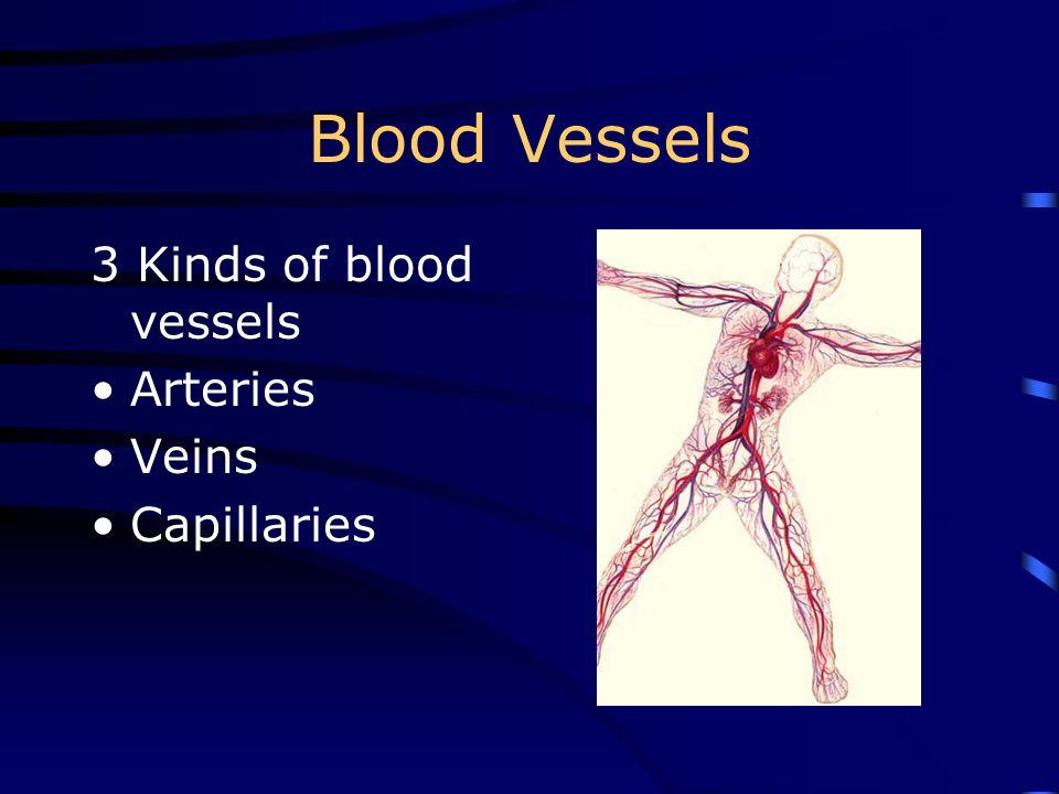 Circulation movement of blood through body