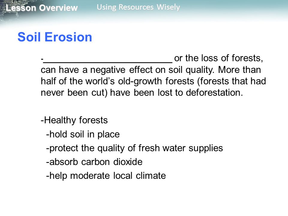 Lesson Overview Lesson Overview Using Resources Wisely Soil Erosion - ________________________ or the loss of forests, can have a negative effect on soil quality.