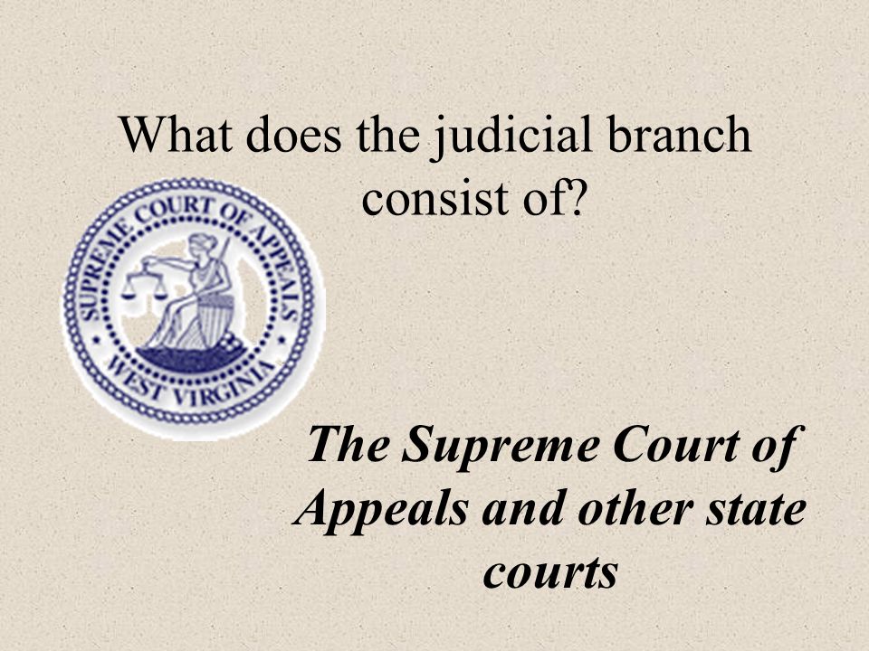 What does the judicial branch consist of The Supreme Court of Appeals and other state courts