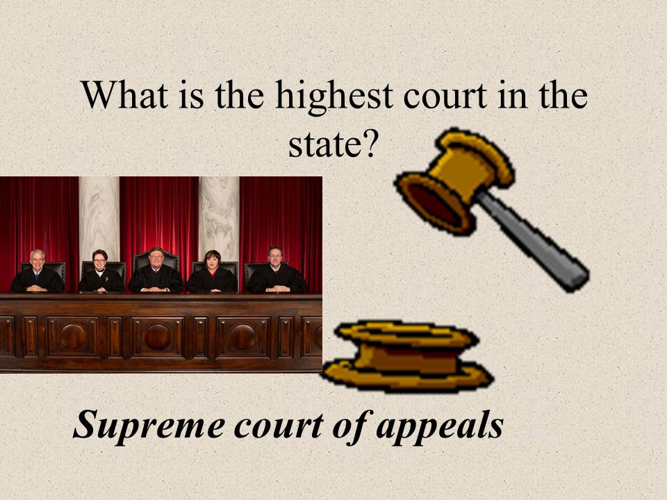 What is the highest court in the state Supreme court of appeals