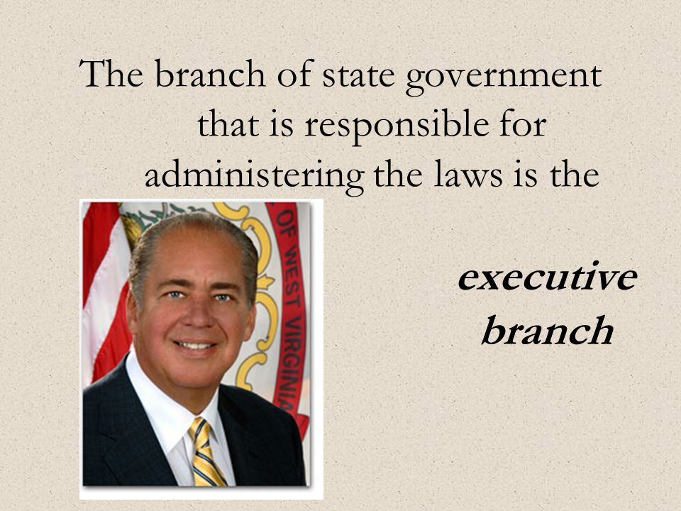 The branch of state government that is responsible for administering the laws is the executive branch