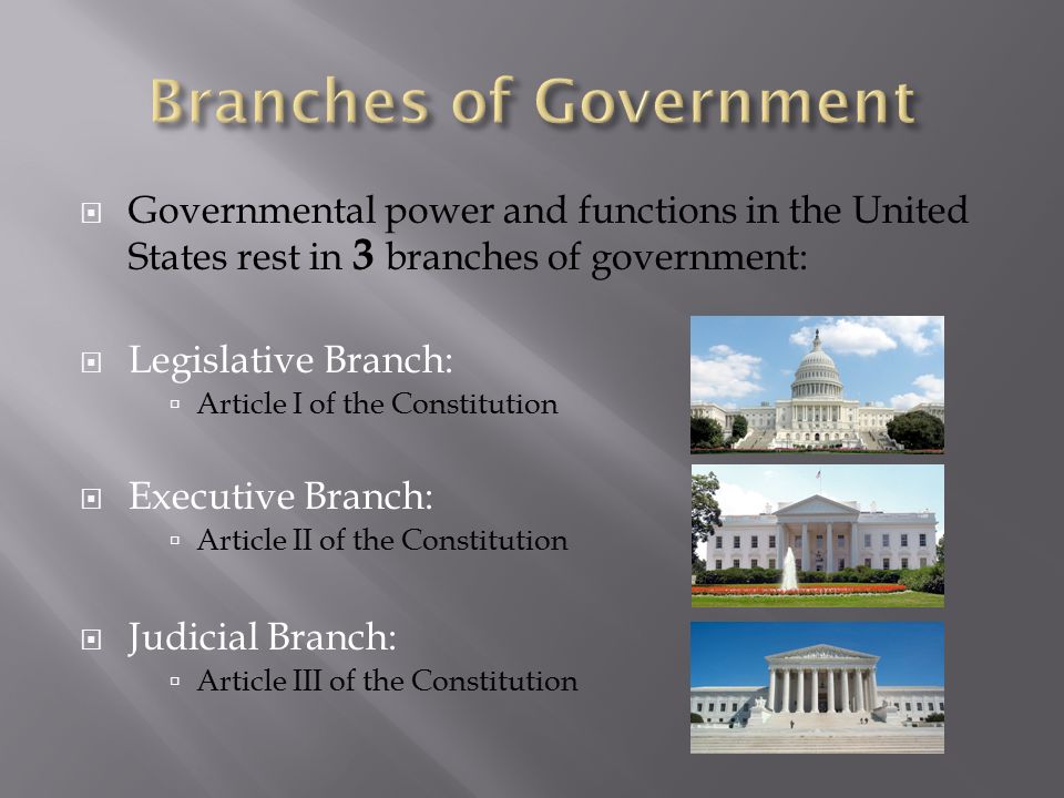  Governmental power and functions in the United States rest in 3 branches of government:  Legislative Branch:  Article I of the Constitution  Executive Branch:  Article II of the Constitution  Judicial Branch:  Article III of the Constitution