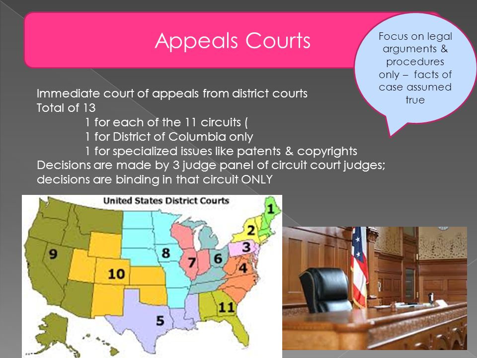Appeals Courts Immediate court of appeals from district courts Total of 13 1 for each of the 11 circuits ( 1 for District of Columbia only 1 for specialized issues like patents & copyrights Decisions are made by 3 judge panel of circuit court judges; decisions are binding in that circuit ONLY Focus on legal arguments & procedures only – facts of case assumed true