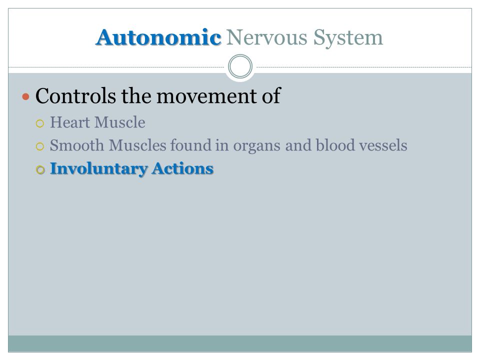Autonomic Autonomic Nervous System Controls the movement of  Heart Muscle  Smooth Muscles found in organs and blood vessels  Involuntary Actions