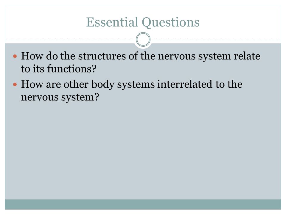 Essential Questions How do the structures of the nervous system relate to its functions.