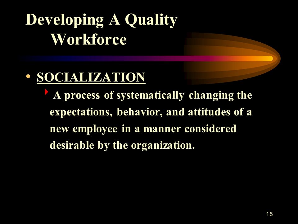15 Developing A Quality Workforce SOCIALIZATION  A process of systematically changing the expectations, behavior, and attitudes of a new employee in a manner considered desirable by the organization.