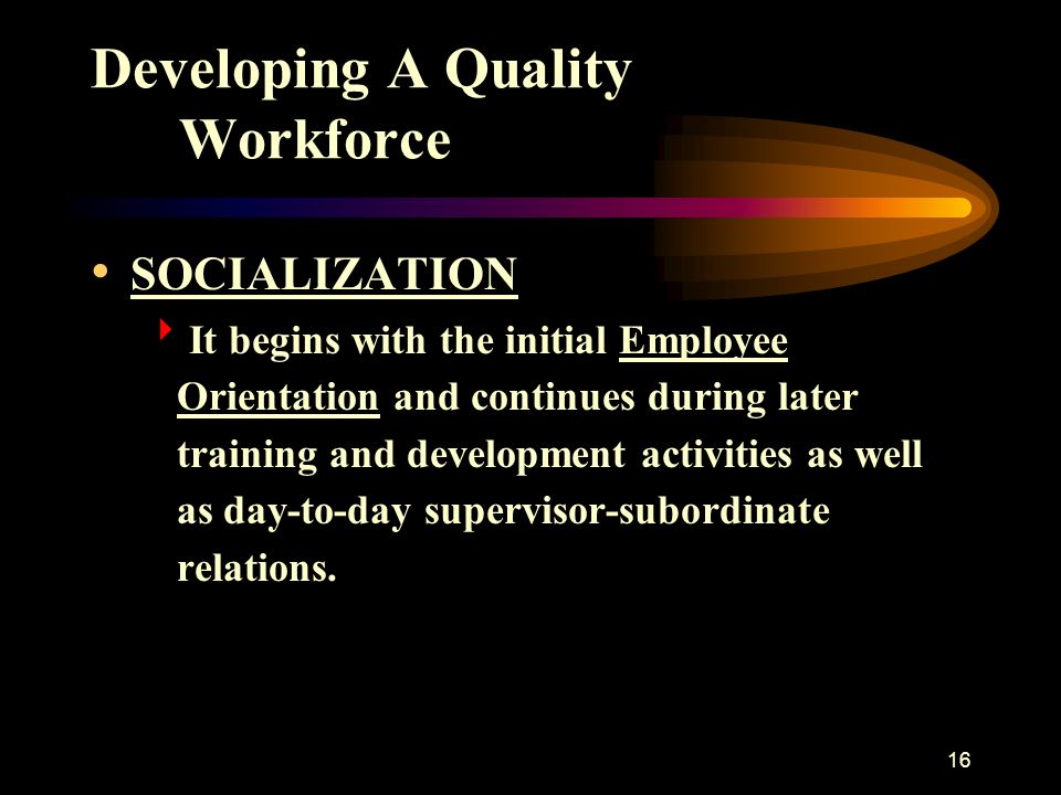 16 Developing A Quality Workforce SOCIALIZATION  It begins with the initial Employee Orientation and continues during later training and development activities as well as day-to-day supervisor-subordinate relations.