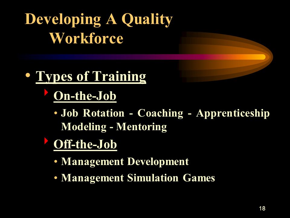 18 Developing A Quality Workforce Types of Training  On-the-Job Job Rotation - Coaching - Apprenticeship Modeling - Mentoring  Off-the-Job Management Development Management Simulation Games