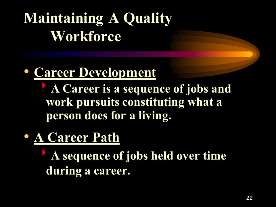 22 Maintaining A Quality Workforce Career Development  A Career is a sequence of jobs and work pursuits constituting what a person does for a living.