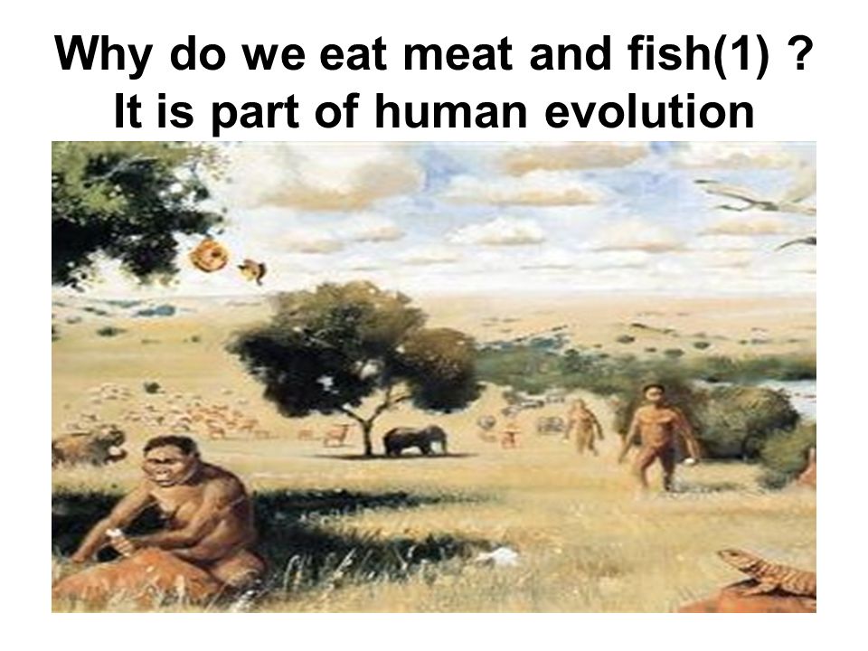 Why do we eat meat and fish(1) It is part of human evolution