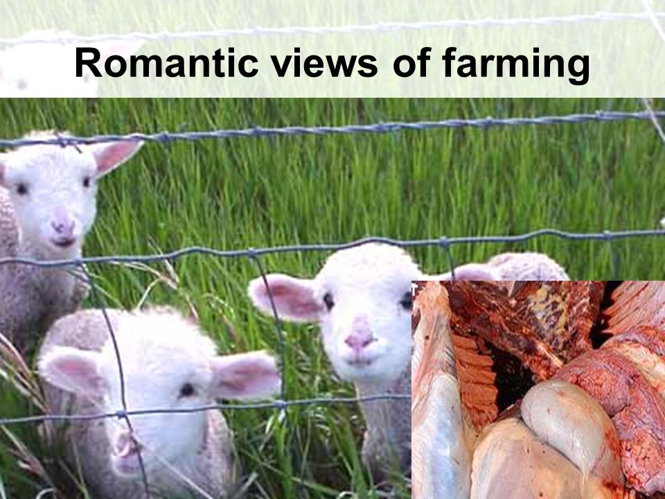 Romantic views of farming