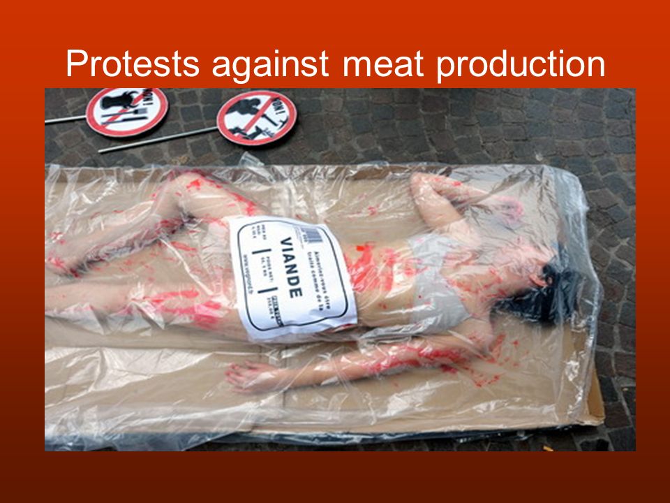 Protests against meat production