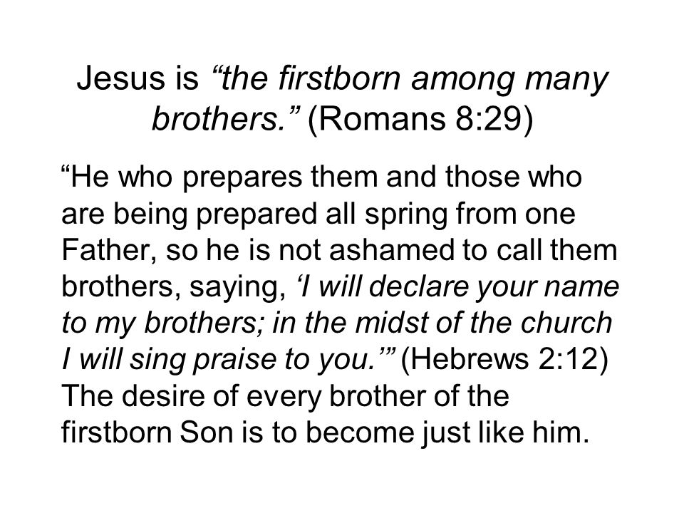 Jesus is the firstborn among many brothers. (Romans 8:29) He who prepares them and those who are being prepared all spring from one Father, so he is not ashamed to call them brothers, saying, ‘I will declare your name to my brothers; in the midst of the church I will sing praise to you.’ (Hebrews 2:12) The desire of every brother of the firstborn Son is to become just like him.
