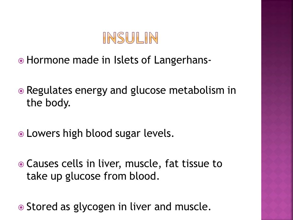  Hormone made in Islets of Langerhans-  Regulates energy and glucose metabolism in the body.