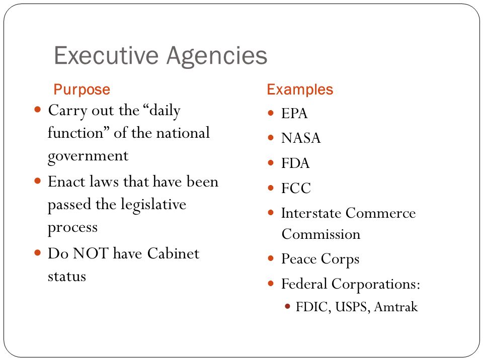 Executive Branch Of Government Examples Peatix