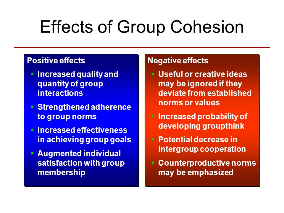 Members position. Individual vs Group Learning advantages and dis.