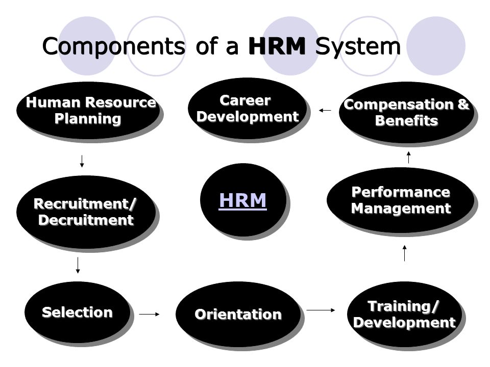 Components of a HRM System Recruitment/DecruitmentRecruitment/Decruitment Training/DevelopmentTraining/Development Compensation & Benefits Benefits PerformanceManagementPerformanceManagement Human Resource Human ResourcePlanning Planning OrientationOrientationSelectionSelection CareerDevelopmentCareerDevelopment HRM