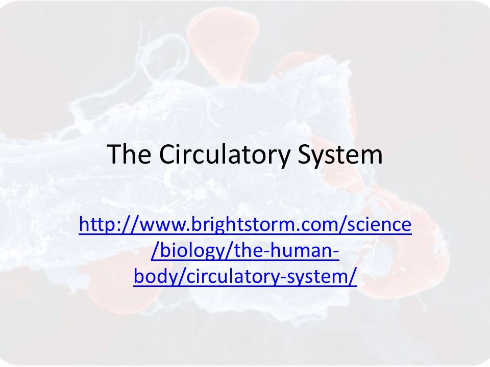 The Circulatory System   /biology/the-human- body/circulatory-system/