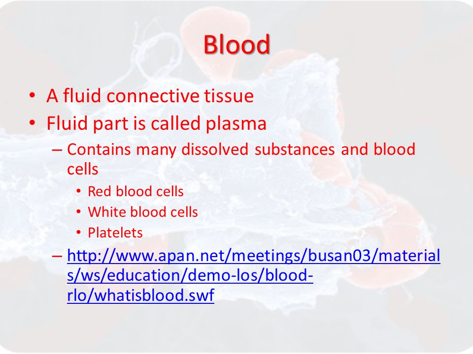 Blood A fluid connective tissue Fluid part is called plasma – Contains many dissolved substances and blood cells Red blood cells White blood cells Platelets –   s/ws/education/demo-los/blood- rlo/whatisblood.swf   s/ws/education/demo-los/blood- rlo/whatisblood.swf